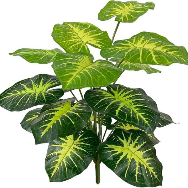 Planta Corazon Maria Ref S-218